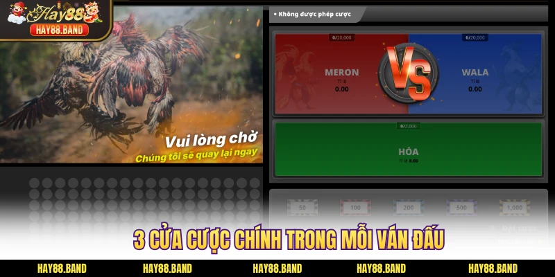 3 cửa cược chính trong mỗi ván đấu