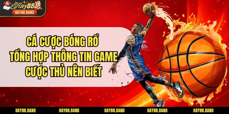 Cá Cược Bóng Rổ