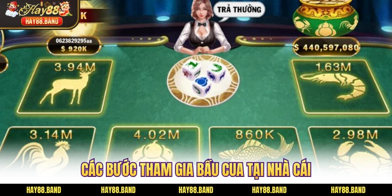 Các bước tham gia bầu cua tại nhà cái Các bước tham gia bầu cua tại nhà cái