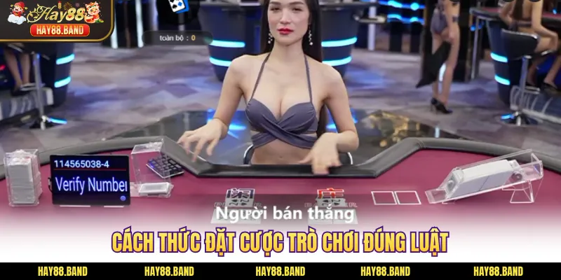 Cách thức đặt cược trò chơi đúng luật