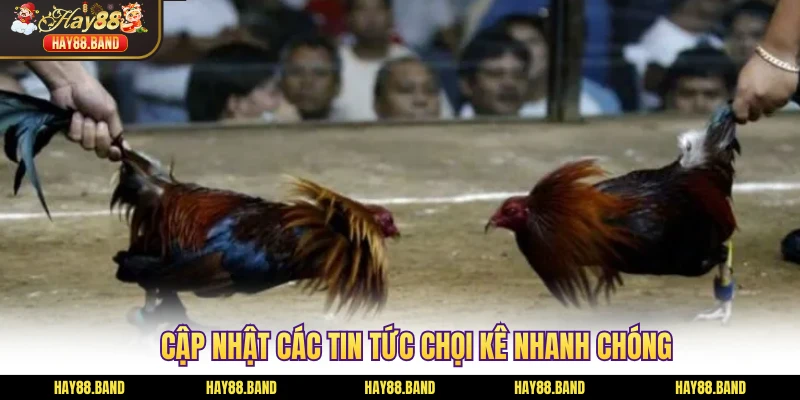 Cập nhật các tin tức chọi kê nhanh chóng Cập nhật các tin tức chọi kê nhanh chóng