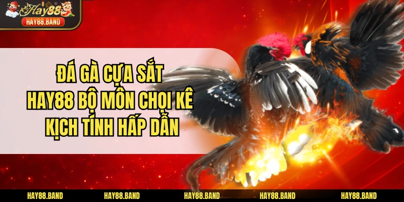 Đá Gà Cựa Sắt Hay88 - Bộ Môn Chọi Kê Kịch Tính Hấp Dẫn