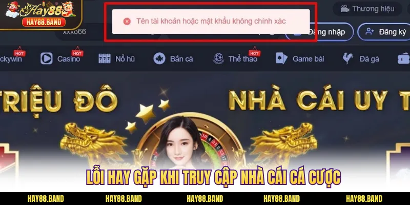 Lỗi hay gặp khi truy cập nhà cái cá cược