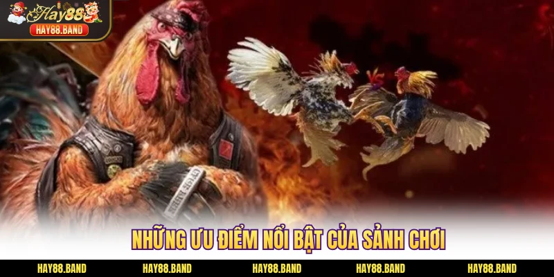 Những ưu điểm nổi bật của sảnh chơi