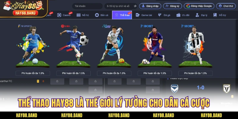 Thể thao HAY88 là thế giới lý tưởng cho dân cá cược