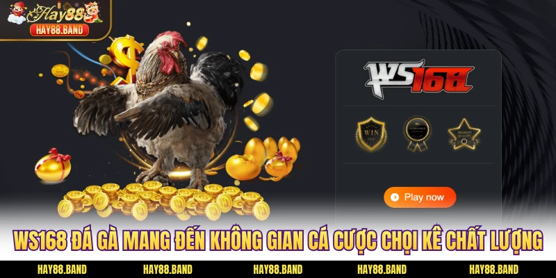 WS168 đá gà mang đến không gian cá cược chọi kê chất lượng WS168 đá gà mang đến không gian cá cược chọi kê chất lượng