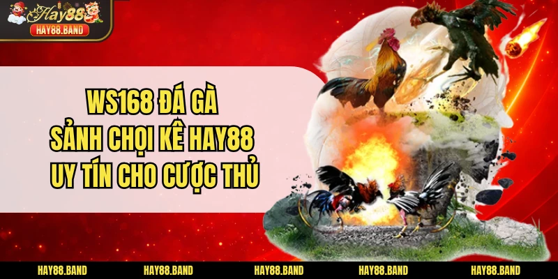 WS168 Đá Gà - Sảnh Chọi Kê HAY88 Uy Tín Cho Cược Thủ